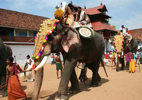 Elephants in Temple - Homestay Building - Kerala Homestay, Kerala Homestays, Homestays Kerala, Homestays in Kerala, Kerala Hotels, Resorts, Houseboats, Kerala Vacation, Homestay Kerala, Homestay Cochin, Homestay Kochi, Riverside Homestay, Hertiage Homestays, Kerala Offers, Kerala Packages, Kerala Homestay, Kerala Resorts, Kerala Spa Resorts, Cruise Packages, House Boat Packages, Beach Resort Kerala, Munnar Packageskerala homestay, cochin homestay, resorts kerala, homestay munnar,homestay kovalam, homestay thekkady, homestay  thiruvananthapuram, homestay wayanad, homestay poovar, homestay malappuram, homestay thrissur, homestay periyar, homestay varkala, homestay  kozhikode, calicut homestay, homestay vagamon, homestay kollam quilon, homestay malampuzha, homestay kottayam, homestay Cochin, wild life  resort, holiday resort ,holidays, homestay, Beaches, Economy Homestay Kerala, Heritage Resorts, heritage Homestay, Star Homes, House For Rent, Homestay In Kerala, Holiday Packages Kerala